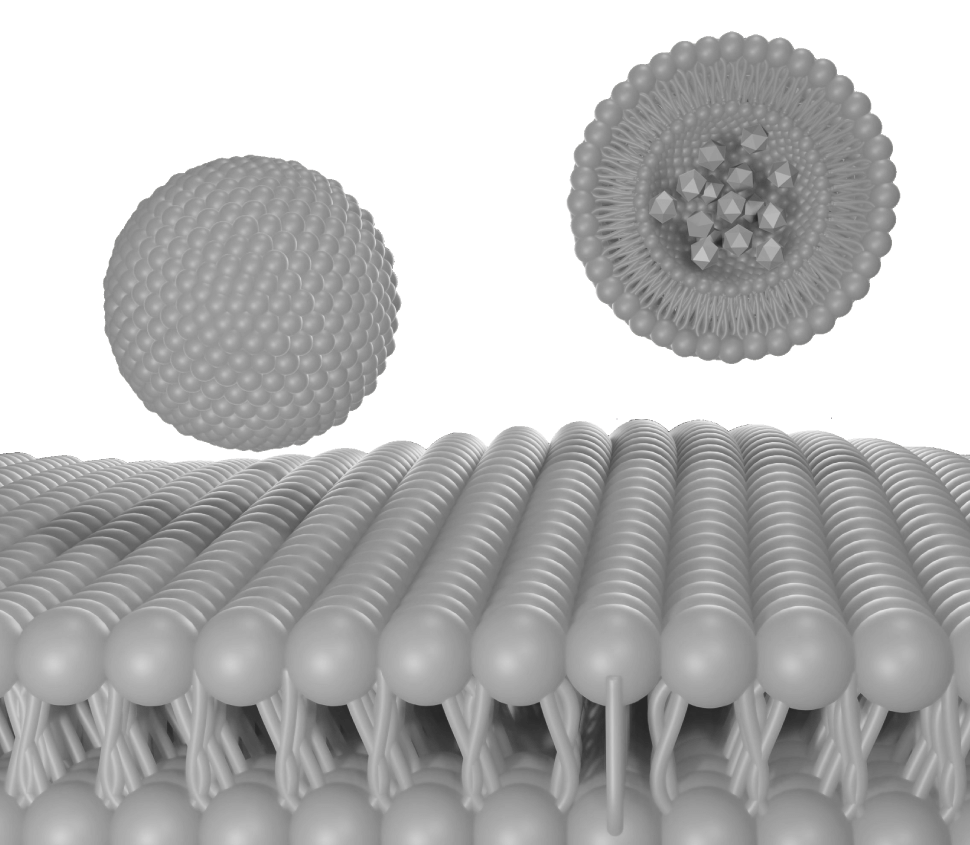 Liposomal Glutathione